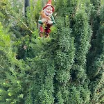 Alice - Adults Only 4* Bled