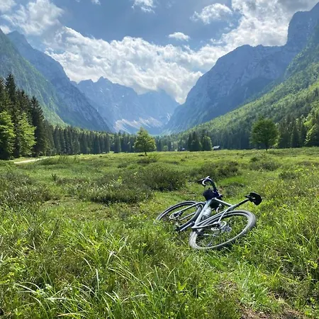 Alice - Adults Only 4*