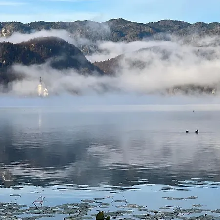 Alice - Adults Only 4* Bled