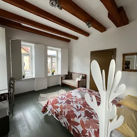 Alice - Adults Only Maison d'hôtes 4*