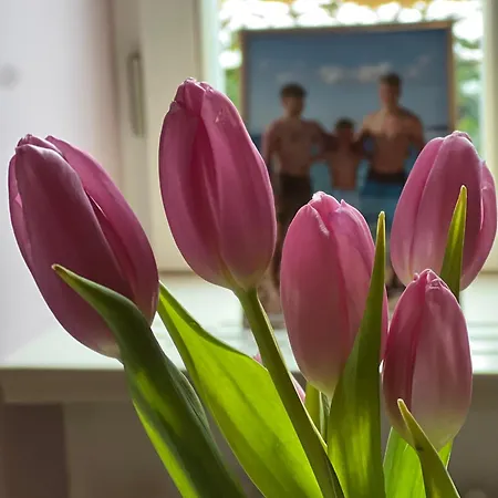 Alice - Adults Only 4*