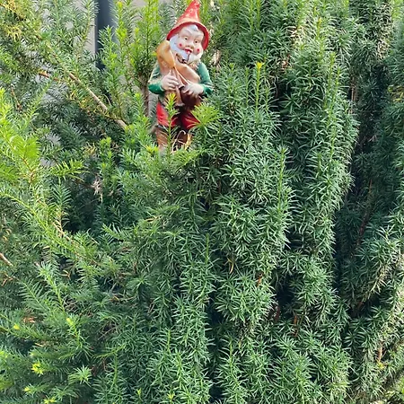 Alice - Adults Only 4* Bled