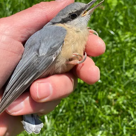 Alice - Adults Only 4* Bled