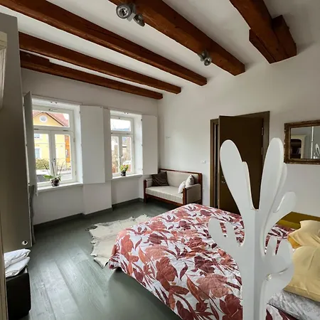 Alice - Adults Only Konukevi