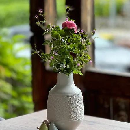 Alice - Adults Only 4* Bled