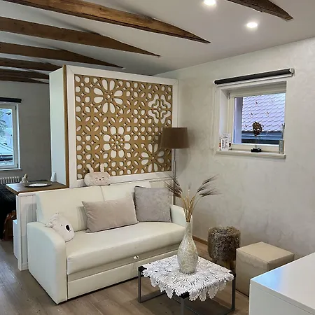 Alice - Adults Only Bled