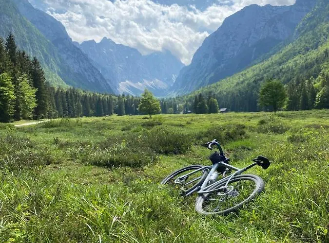 Alice - Adults Only 4*