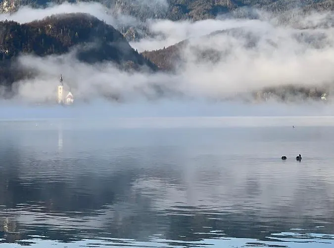 Alice - Adults Only 4* Bled