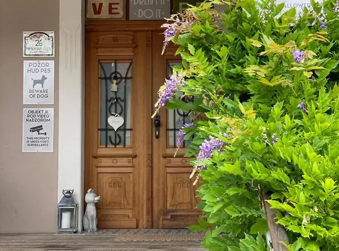 Alice - Adults Only בלד