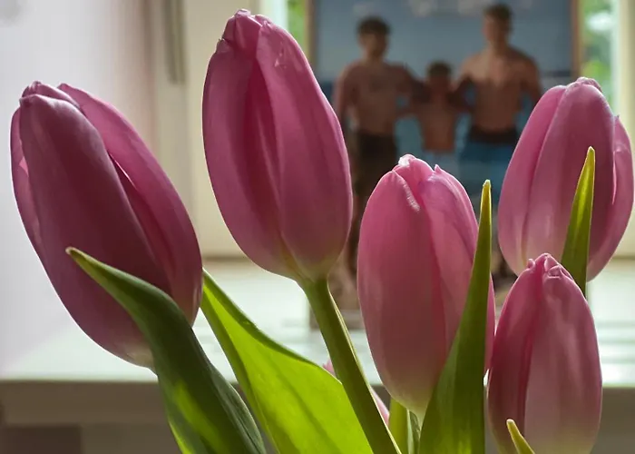 Alice - Adults Only 4*