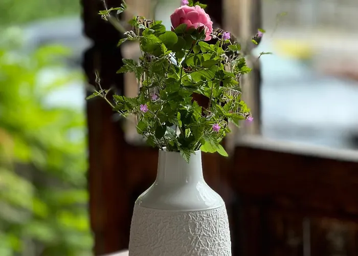 Alice - Adults Only 4* בלד